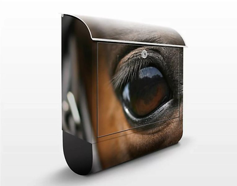 Briefkasten Tiere Horse Eye günstig online kaufen