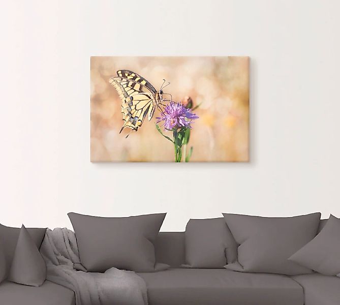 Artland Leinwandbild »Schwalbenschwanzschmetterling«, Insekten, (1 St.), au günstig online kaufen