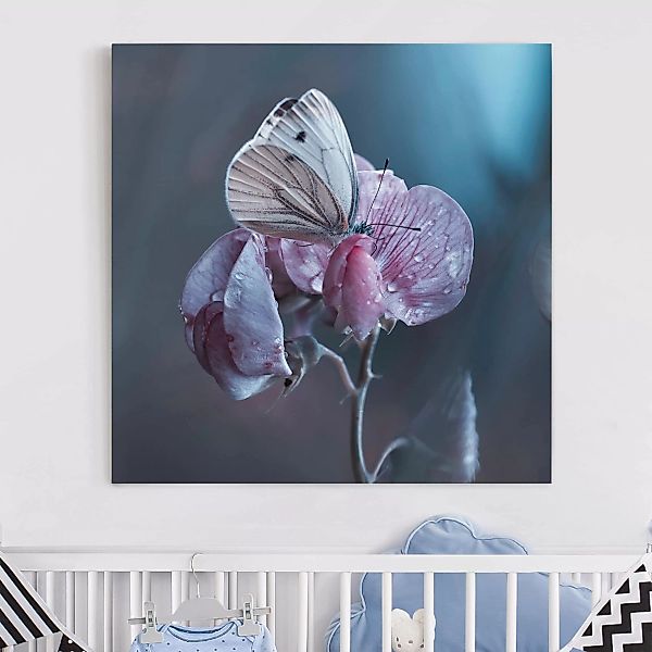 Leinwandbild Blumen - Quadrat Schmetterling im Regen günstig online kaufen