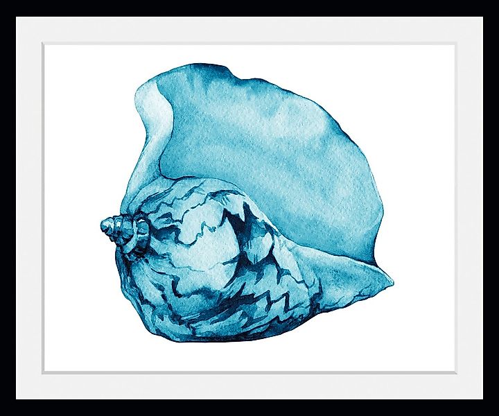 queence Bild »Jenny«, Meer-Wassertiere-Kunst, (1 St.), HD Premium Poster-Dr günstig online kaufen