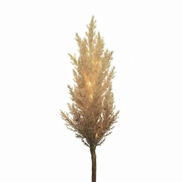 MARELIDA LED Zweig Pampasgras leuchtend Dekozweig H: 70cm braun günstig online kaufen
