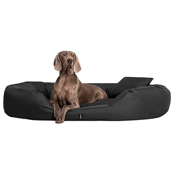tierlando® Tierbett Orthopädisches Hundebett SAMMY, Robuster günstig online kaufen