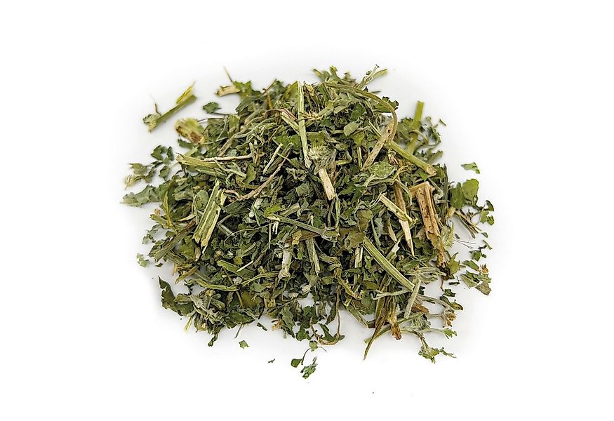 Aumüller Tierkuscheltier Frische Katzenminze zum Befüllen von Katzenspielze günstig online kaufen