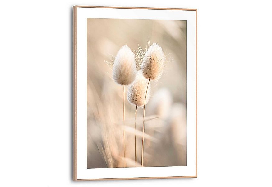 Reinders! Poster Plumes, Wohnzimmer - Grasfedern - Beige - MDF - Blumen und günstig online kaufen