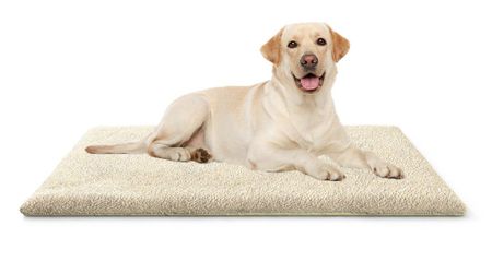 Knuffelwuff Hundematte Thermodecke, Isoliert die Kälte günstig online kaufen