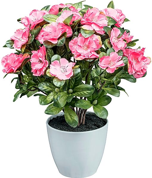 Kunstblume Azaleenbusch Azalee, Creativ green, Höhe 32 cm günstig online kaufen