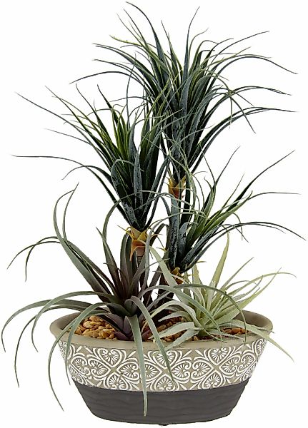 I.GE.A. Kunstpflanze "Dracena/Tillandsia", Im Übertopf aus Keramik günstig online kaufen