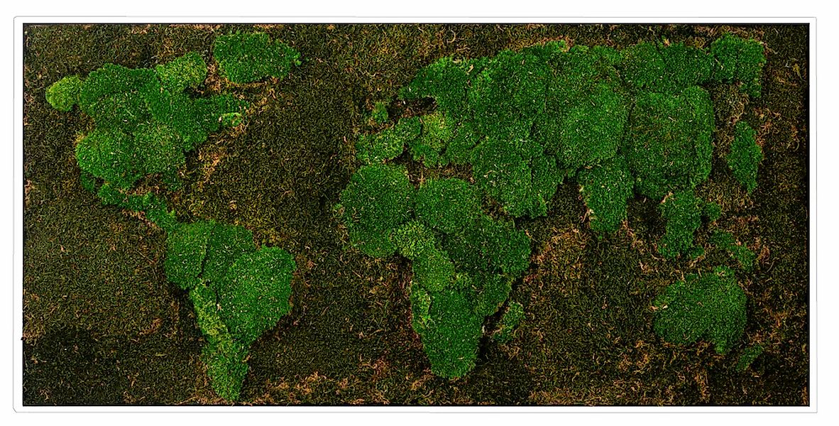 Bönninghoff Bild mit Rahmen "Moos" 1 Stk. tlg. jedes Bild ein Unikat, BxH: günstig online kaufen