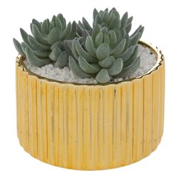 Kunstpflanze Zimmerpflanze, Atmosphera Créateur d'intérieur, Höhe günstig online kaufen