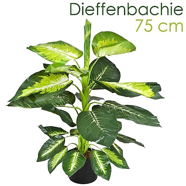 Künstliche Zimmerpflanze Dieffenbachie Kunstpflanze Kunstbaum Künstliche günstig online kaufen