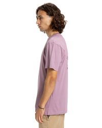 Quiksilver T-Shirt Ev Swell Ovation günstig online kaufen