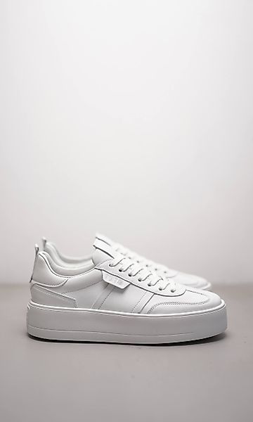 BANG günstig online kaufen