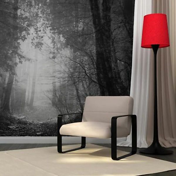 artgeist Fototapete Wald der Schatten schwarz/weiß Gr. 300 x 231 günstig online kaufen
