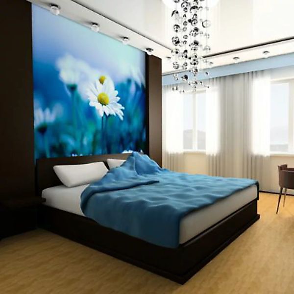 artgeist Fototapete Gänseblümchen auf blauer Wiese mehrfarbig Gr. 250 x 193 günstig online kaufen