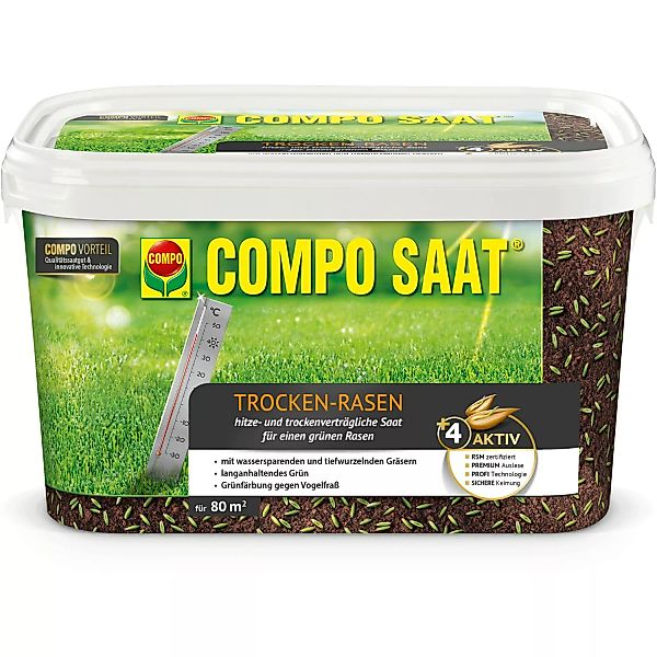 Compo Saat® Trocken-Rasen 2 kg für 80 m² günstig online kaufen