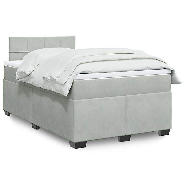 vidaXL Boxspringbett mit Matratze Hellgrau 120x190 cm Samt 3288558 günstig online kaufen