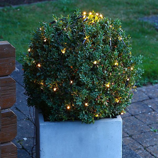 MARELIDA LED-Lichternetz LED Lichternetz Lichterkette Buchsbaum günstig online kaufen