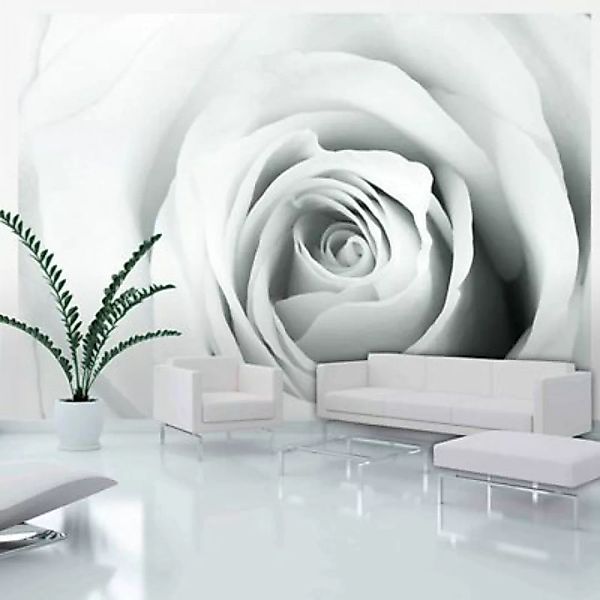 artgeist Fototapete Rose charade grau Gr. 350 x 245 günstig online kaufen