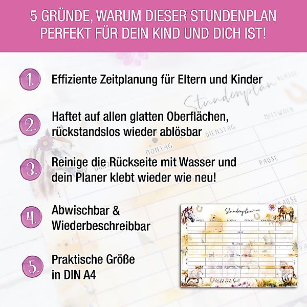 TOBJA Wandtafel Stundenplan Pferde Grundschule Mädchen, günstig online kaufen