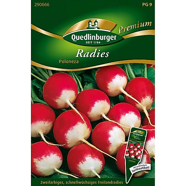 Quedlinburger Radies ''Poloneza'' günstig online kaufen