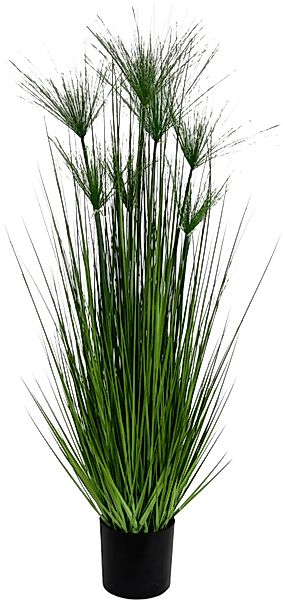 Kunstpflanze Zyperngras im Topf Zyperngras, I.GE.A., günstig online kaufen