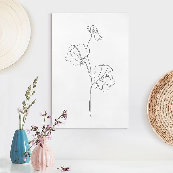 Leinwandbild Line Art Blumen - Erbsenpflanze günstig online kaufen