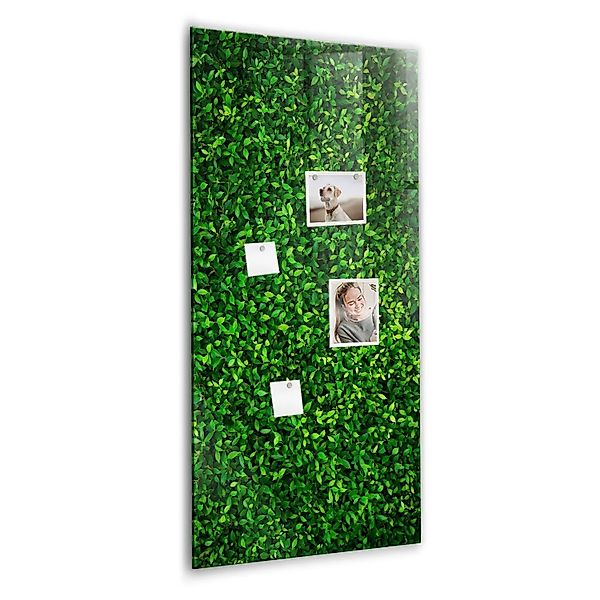 Tulup Beschreibbare Glasmagnettafel Blätter Der Zaunpflanze 60x120 cm Magne günstig online kaufen