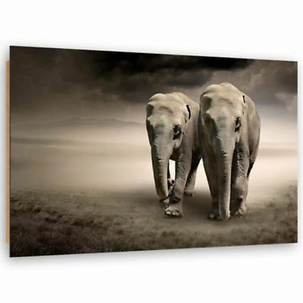 FEEBY® Kunst zwei Elefanten Leinwandbilder bunt Gr. 60 x 40 günstig online kaufen