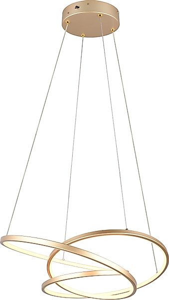 TRIO Leuchten LED Pendelleuchte DARVIN, LED günstig online kaufen
