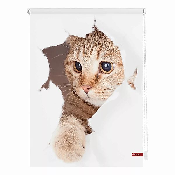 Verdunkelungsrollo Katze weiß B/L: ca. 60x150 cm günstig online kaufen