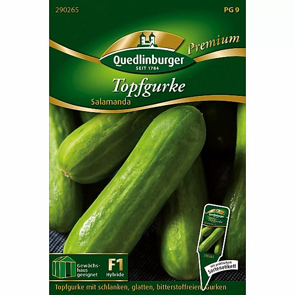 Quedlinburger Topf-Snackgurke Salamanda Loses Saatgut günstig online kaufen