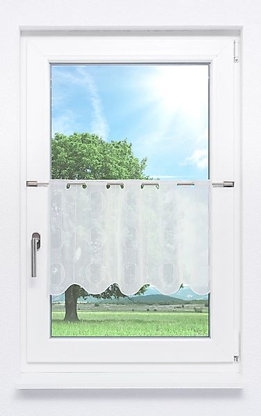 Plauener Spitze® Scheibengardine Zyla (1 St), günstig online kaufen