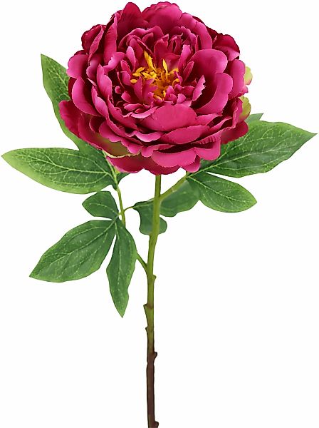 I.GE.A. Kunstblume "Päonie Bauernrose", Pfingstrosen Einzelblume, 3er Set günstig online kaufen