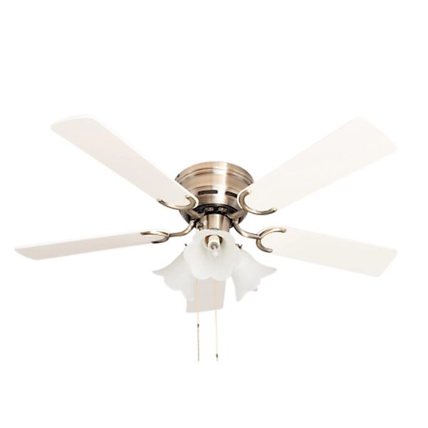 Pepeo Deckenventilator Kisa Deluxe günstig online kaufen