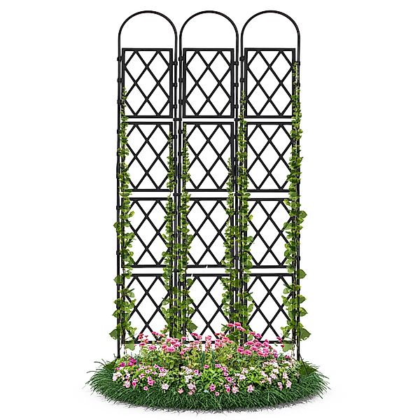 Gartenwelt Riegelsberger Rankhilfe Wandspalier mit Bogen günstig online kaufen
