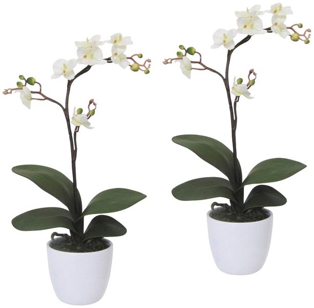 Kunstpflanze Orchidee Phalaenopsis Orchidee, Creativ green, günstig online kaufen