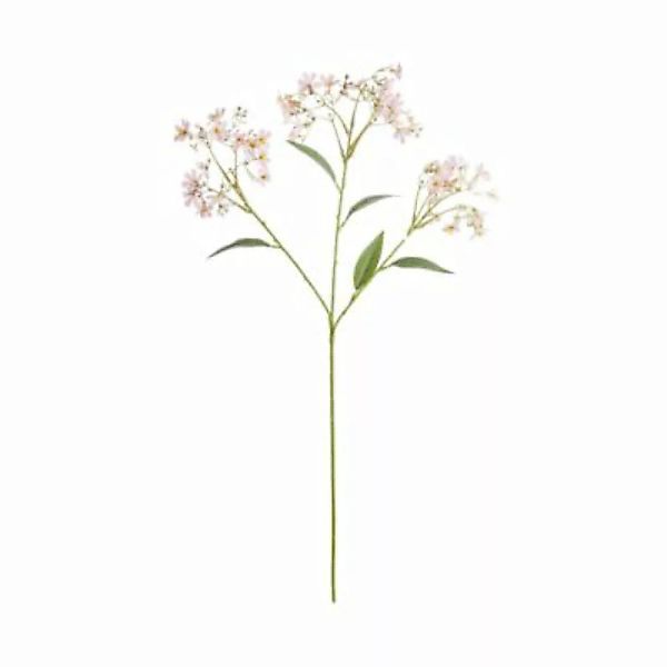 FLORISTA Blütenzweig Daphne Länge 72cm günstig online kaufen