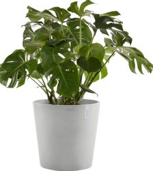 ECOPOTS Blumentopf AMSTERDAM White Grey, BxTxH: günstig online kaufen