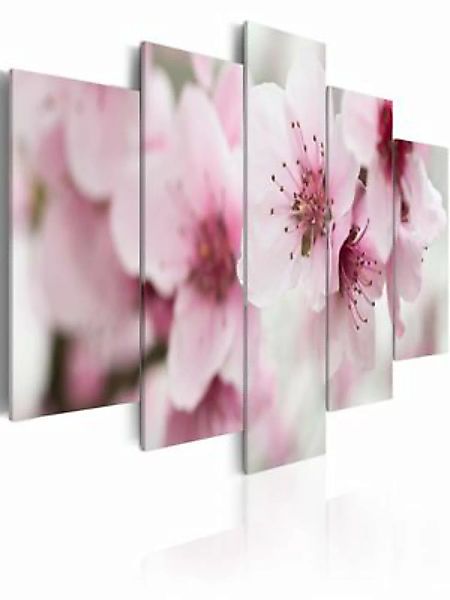 artgeist Wandbild Kirschblüte - freundlich und sanft mehrfarbig Gr. 200 x 1 günstig online kaufen