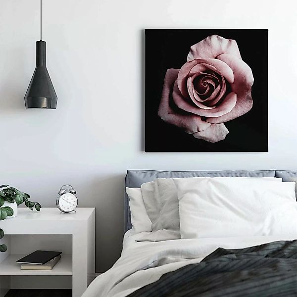 Bricoflor Blumen Bild In Altrosa Und Schwarz Rose Auf Hintergrund In Schwar günstig online kaufen