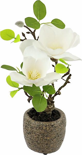 I.GE.A. Kunstblume "Magnolie im Topf", Künstlich wie echt Deko Blume Zimmer günstig online kaufen
