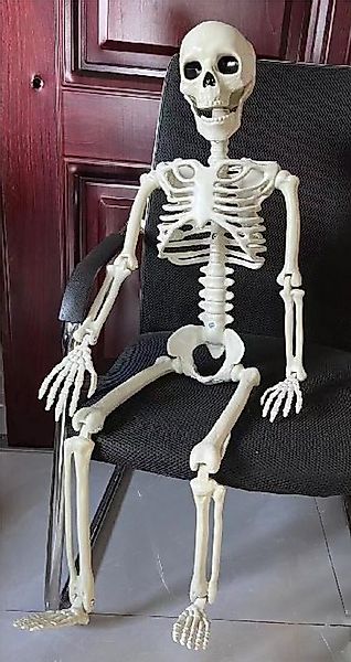 Orlob Dekofigur XXL Deko Skelett Mensch 100 cm Beweglicher Kopf, Beine, Hän günstig online kaufen