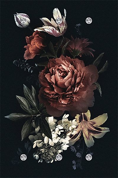queence Garderobenleiste "Blumen" mit 6 Haken, 80 x 120 cm günstig online kaufen
