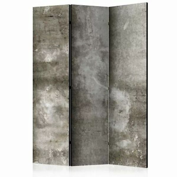 artgeist Paravent Cold Concrete [Room Dividers] grau Gr. 135 x 172 günstig online kaufen