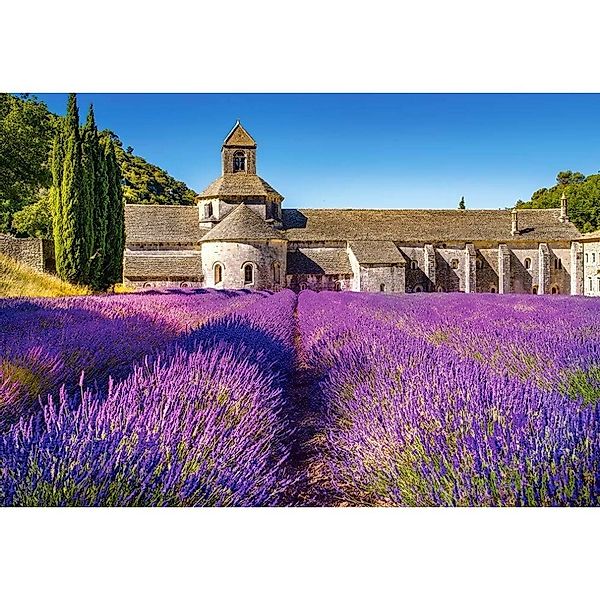 Castorland Puzzle Puzzle Lavendelfeld in der günstig online kaufen
