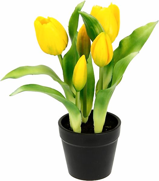 I.GE.A. Kunstblume "Tulpen" Real-Touch Blüten Tulpe Tulpenstrauß Latex Kuns günstig online kaufen