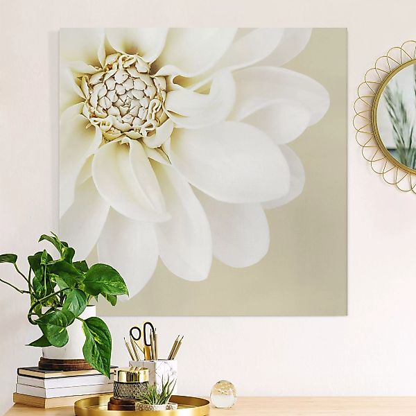 Leinwandbild Dahlie Weiß Pastell Sandfarben günstig online kaufen