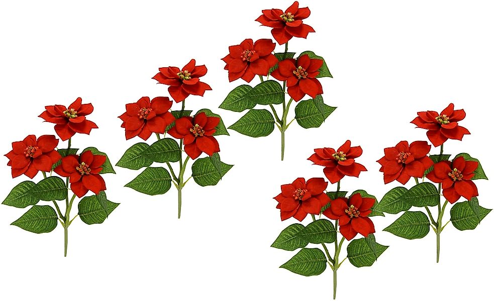 I.GE.A. Kunstblume "Poinsettie", Künstlicher Poinsettiazweig, 5er Set günstig online kaufen