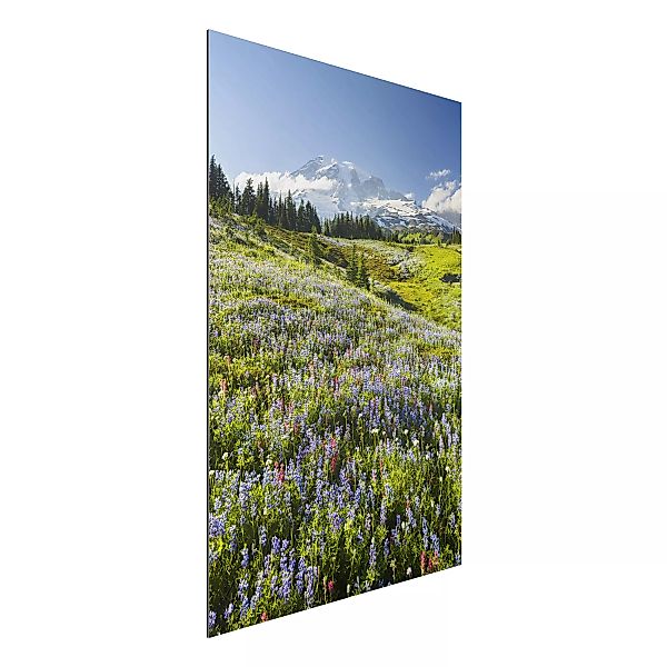 Alu-Dibond Bild Natur & Landschaft - Hochformat 2:3 Bergwiese mit roten Blu günstig online kaufen