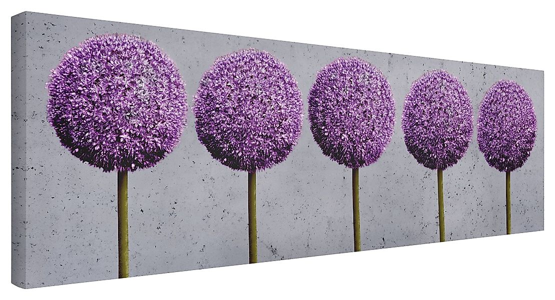 Bilderdepot24 Leinwandbild Blumen Modern Natur Allium günstig online kaufen